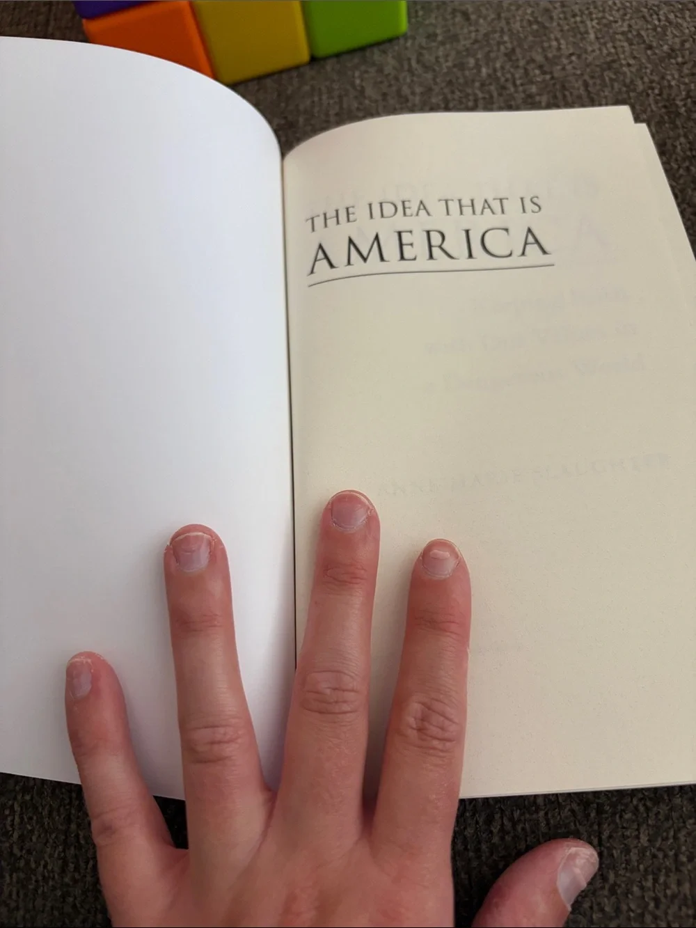 The idea that is america book by anne marie slaughter